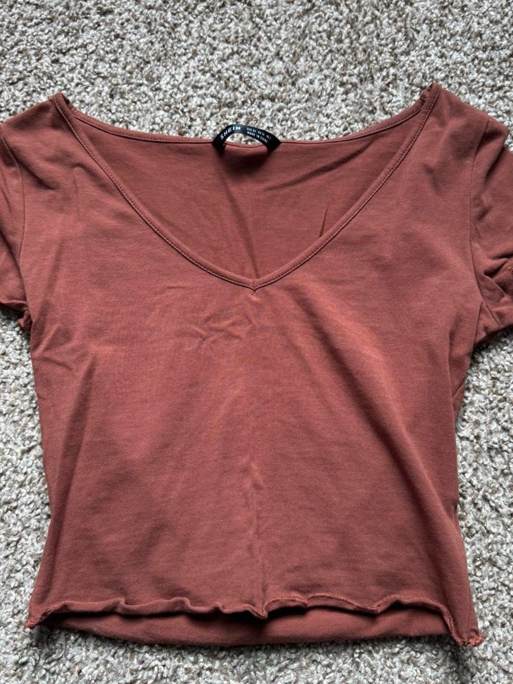 SHEIN Rust V-Neck Crop Top